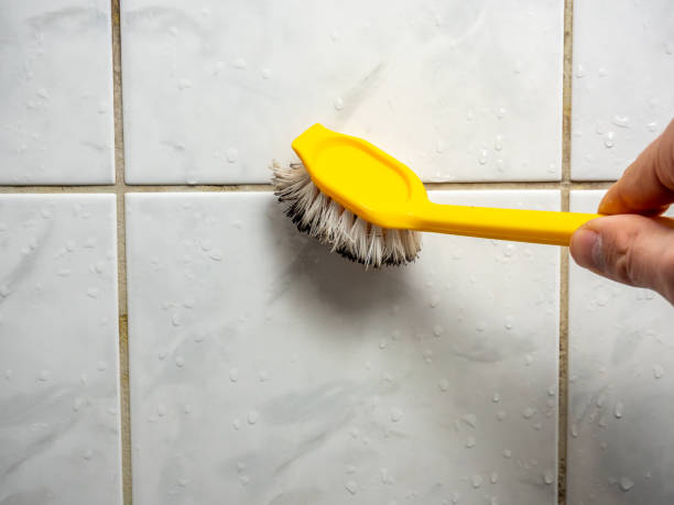 Reliable Dayton, TX Mold Remediation Solutions