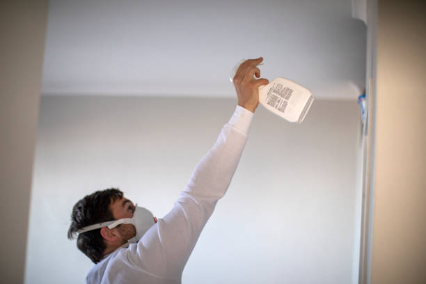 Best Attic Mold Remediation in Dayton, TX
