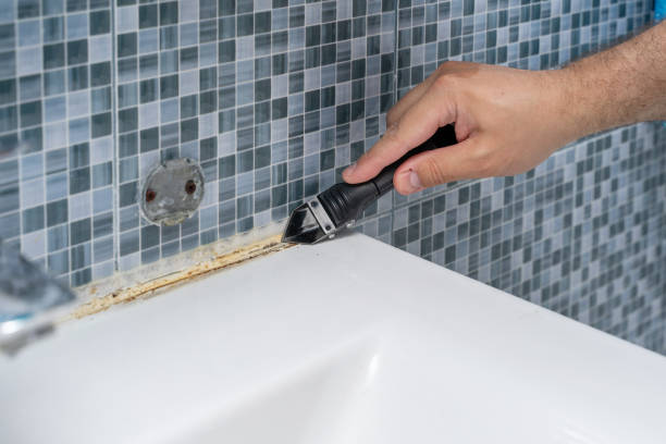 Best White Mold Remediation in Dayton, TX